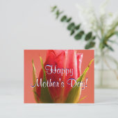 Happy Moederdag Roze Rose I Briefkaart (Staand voorkant)