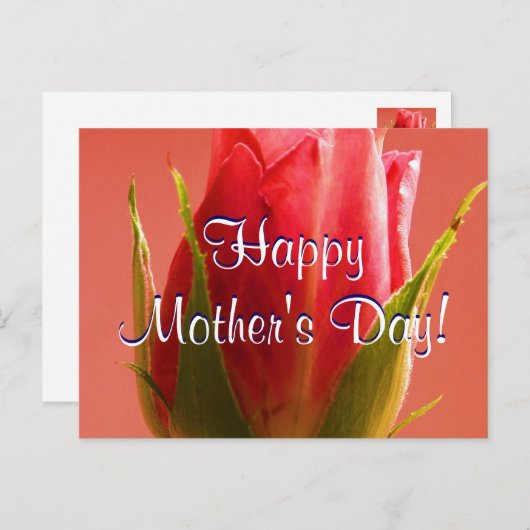 Happy Moederdag Roze Rose I Briefkaart (Voorkant / Achterkant)