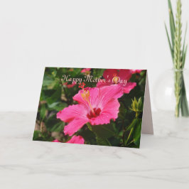 Happy Moederdag roze Striped Hibiscus Kaart