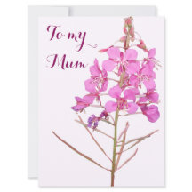 Happy Moederdag roze wilde bloem boho bloemen