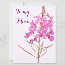 Happy Moederdag roze wilde bloem boho bloemen