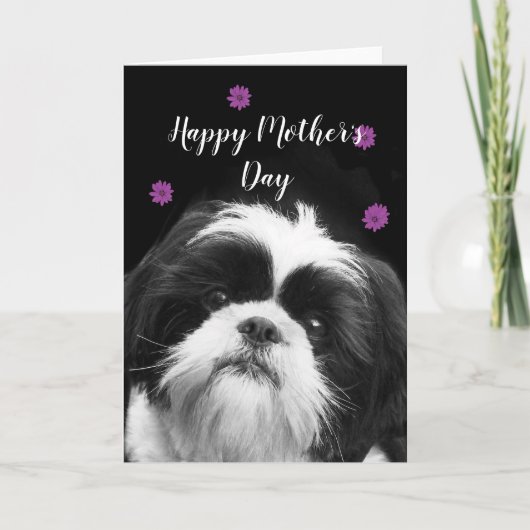 Happy Moederdag Shih Tzu wenskaart Feestdagen Kaart (Voorkant)