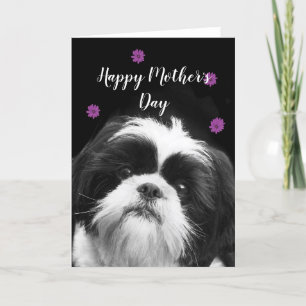 Happy Moederdag Shih Tzu wenskaart Feestdagen Kaart
