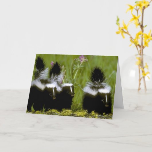 Happy Moederdag Skunk Kaart (Gele Bloem)