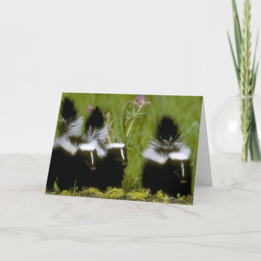 Happy Moederdag Skunk Kaart (Voorkant)