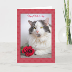 Happy Moederdag van het Cat Kat met Roos Feestdagen Kaart