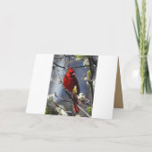 Happy Moederdag Vrouw Kardinaal in Flowering TR Kaart (Achterkant)