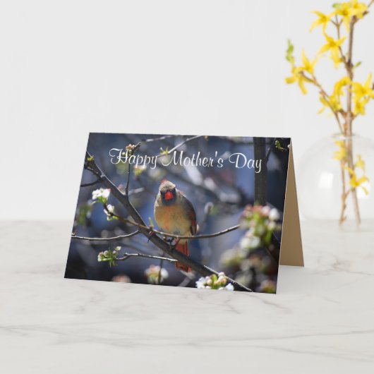 Happy Moederdag Vrouw Kardinaal in Flowering TR Kaart (Gele Bloem)