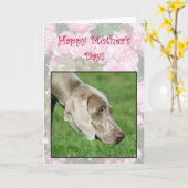 Happy Moederdag Weimaraner wenskaart Kaart (Gele Bloem)
