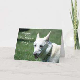 Happy Moederdag White Duitse Herderskaart Kaart