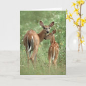 Happy Moederdag White-Tailed Deer Fawn Kaart (Gele Bloem)