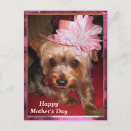 Happy Moederdag Yorkie Briefkaart