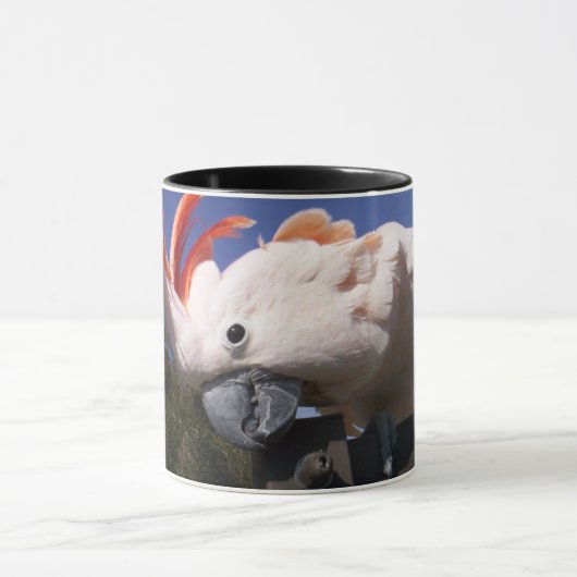 Happy Moluccan Mok (Midden)