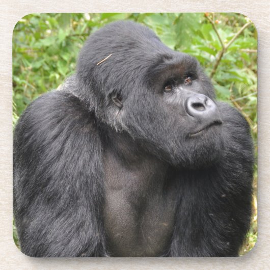 Happy Monkey Bier Onderzetter (Voorkant)