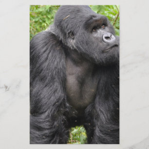 Happy Monkey Briefpapier