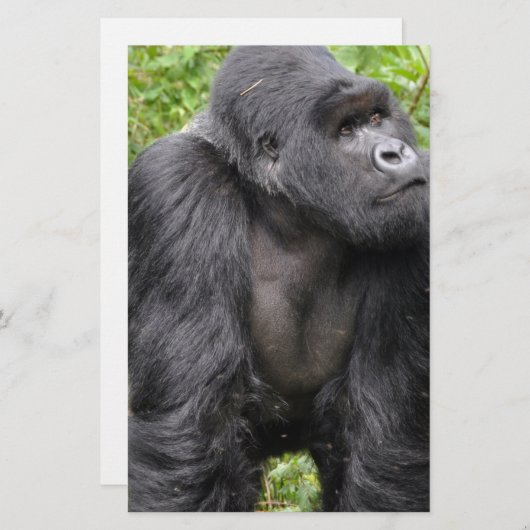 Happy Monkey Briefpapier (Voorkant / Achterkant)