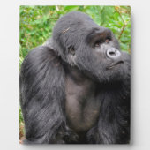 Happy Monkey Fotoplaat (Voorkant)