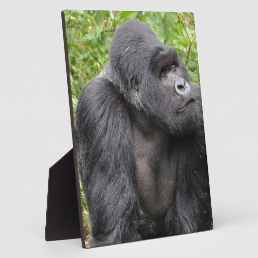 Happy Monkey Fotoplaat (Zijkant)