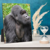 Happy Monkey Fotoplaat (Zijkant)