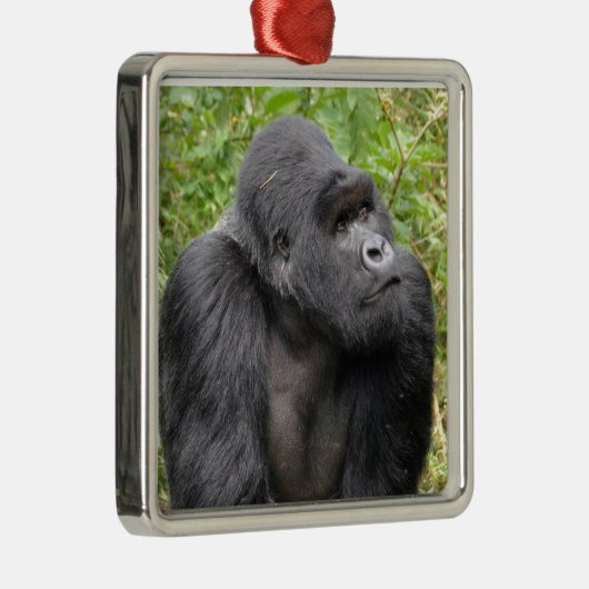 Happy Monkey Metalen Ornament (Rechts)