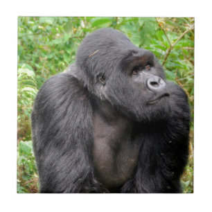 Happy Monkey Tegeltje