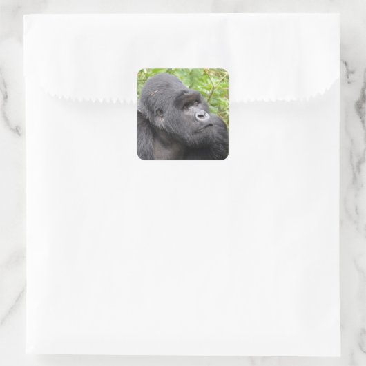 Happy Monkey Vierkante Sticker (Tas)