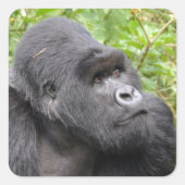 Happy Monkey Vierkante Sticker (Voorkant)