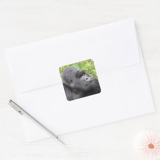 Happy Monkey Vierkante Sticker (Envelop)