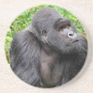 Happy Monkey Zandsteen Onderzetter