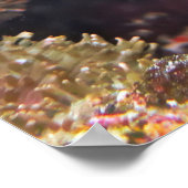 Happy Moray Cleaning Poster (Hoek)