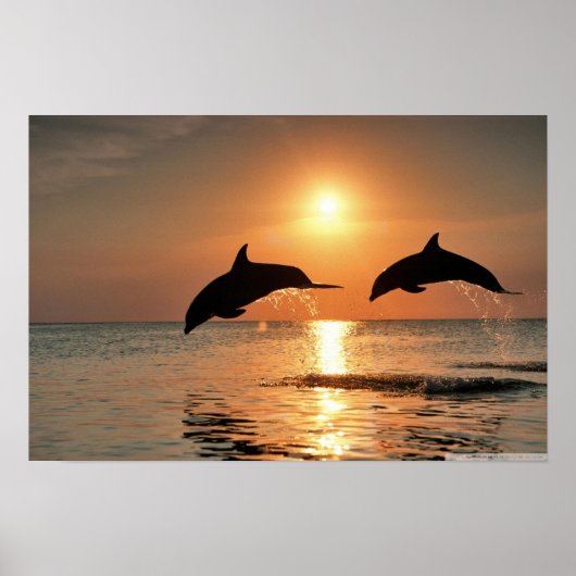 Happy Morning Wall Poster (Voorkant)