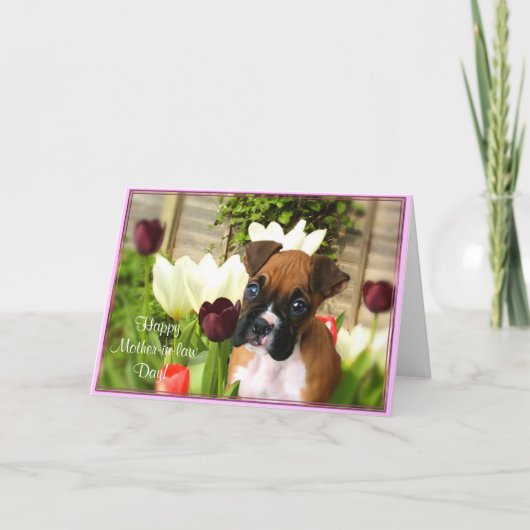Happy Mother-in-law dag boxer wenskaart Kaart (Voorkant)