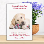 Happy Mothers Day Best Mam Ever Pet Dog Foto Feestdagen Kaart<br><div class="desc">Gelukkig Moederdag de beste hond moeder ooit. Geef mama een leuke en grappige persoonlijke foto kaart van haar beste vriendin. "Gelukkig Moederdag tot de Beste Mam ooit ~ Als iemand anders mijn moeder was, kauwde ik hun schoenen op, poep op hun tapijt en ga je zoeken. . . Liefde, je...</div>