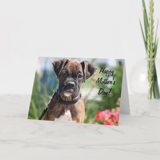 Happy Mother's day boxer greeting card Kaart (Voorkant)