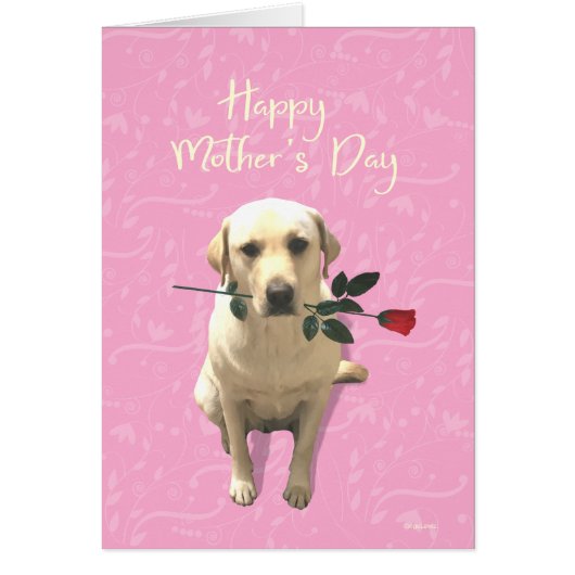 Happy Mothers Day, Labrador Dog Roos, Schattig (Voorkant)