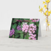 Happy Mothers Day, mam Kaart (Gele Bloem)