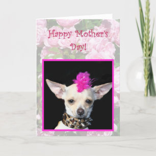 Happy Mother's Day Punk Chihuahua greeting card Kaart