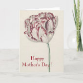Happy Mothers Day Red en White Tulip Kaart (Voorkant)