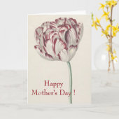 Happy Mothers Day Red en White Tulip Kaart (Gele Bloem)