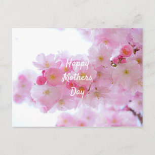 Happy Mothers Day Roze Cherry Tree Briefkaart