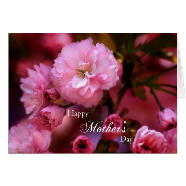 Happy Mothers Day Spring Pink Cherry Blossom (Voorkant Horizontaal)
