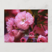 Happy Mothers Day Spring Pink Cherry Blossom Briefkaart (Voorkant)