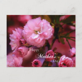 Happy Mothers Day Spring Pink Cherry Blossom Briefkaart