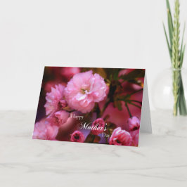 Happy Mothers Day Spring Pink Cherry Blossom Kaart