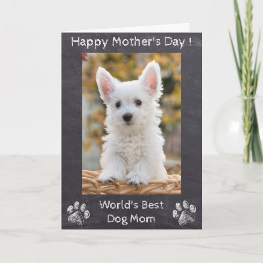 Happy Mothers Day - World's Best Dog Mam - Foto Kaart (Voorkant)