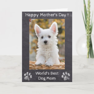 Happy Mothers Day - World's Best Dog Mam - Foto Kaart