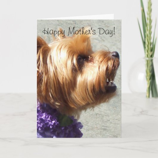 Happy Mother's Day Yorkshire Terrier Greeting Card Kaart (Voorkant)