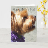 Happy Mother's Day Yorkshire Terrier Greeting Card Kaart (Gele Bloem)