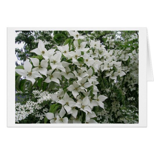 Happy New Life Samen (Voorkant Horizontaal)