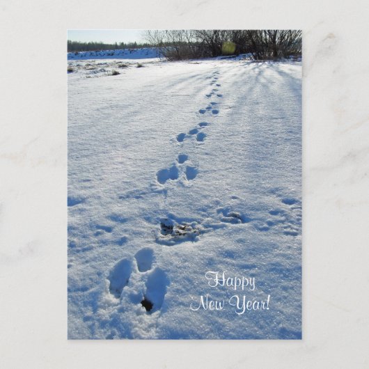 Happy New Year Briefkaart (Voorkant)